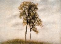 Vilhelm Hammershoi - Unge Ege (Young Oak Trees)